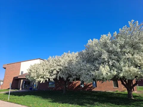 Life Church