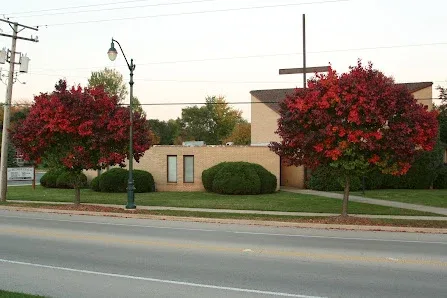Lively Hope Church of God in Christ