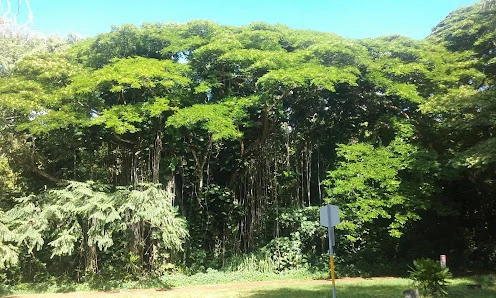 Opihikao Congregational Church