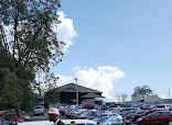 Shady Grove Missionary Baptist Church