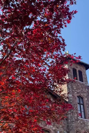 St. Agnes Catholic Church