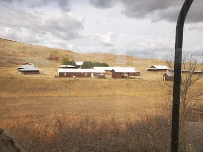 Victory Center Bible Camp